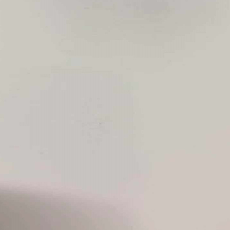 塑粉（高光白）